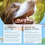 New Pet Toothbrush, Gentle Care, Fresh Breath Clean Bad Breath Pet Teeth Cleaning Pen - Korvel