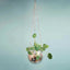 Disco Ball Hanging Flower Pot - Bohemian Style Planter