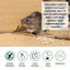 Jue Fish rats repellent spray car body kitchen office bedroom warehouse sewer pipe anti rat spray 60ml mouse repellent spray - Korvel
