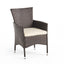 Clementine Outdoor Multibrown PE Wicker Dining Chairs (Set of 2) - Korvel