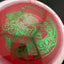 Halo Star Gorgon - Édition des Fêtes Disc Golf Driver