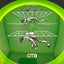 Prism Soft Proton Defy - PDGA Champions Cup 2025