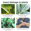 Insecticida en Spray Premium para Flores de Interior