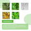 Herbal Foot Patch for Relaxation and Comfort