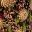 Elegant Pine Cone Table Top Tree