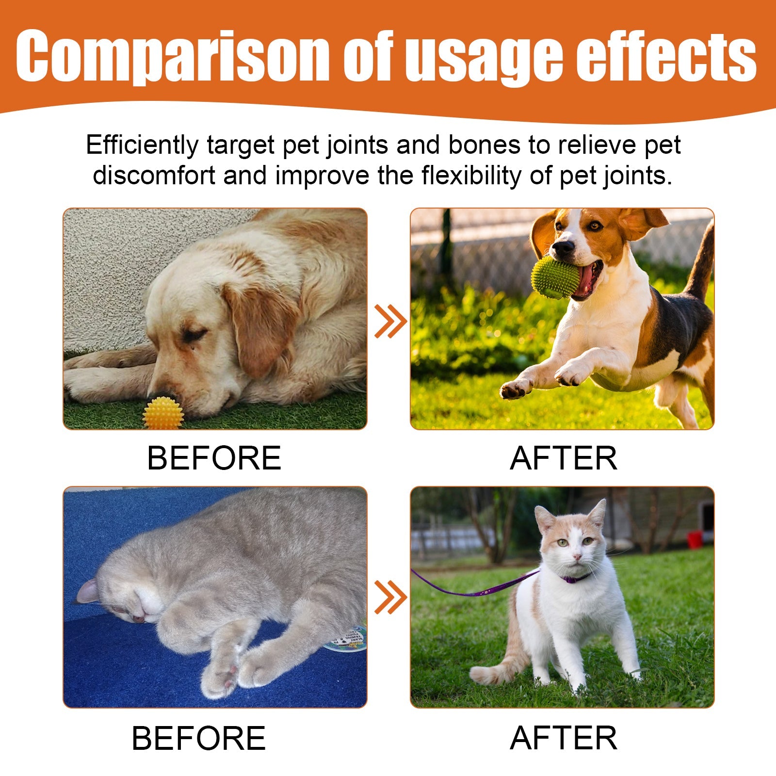Pet Bee Venom Oil, Joint Care For Cats And Dogs Relieves Joint Pain For Pets Pet Care Water - Korvel