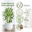 Garden Plant Trellis, Home Wooden Geometric Molding Decorative Support Flower Arrangements Climbing Pergola - Korvel