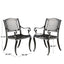 Ensemble de chaises Cayman Arch Mesh I (Set de 2)
