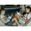 Draw With Light Fun  Glowing Paint Glow Light Tablet Draw With Light Fun And Developing Toy - Korvel