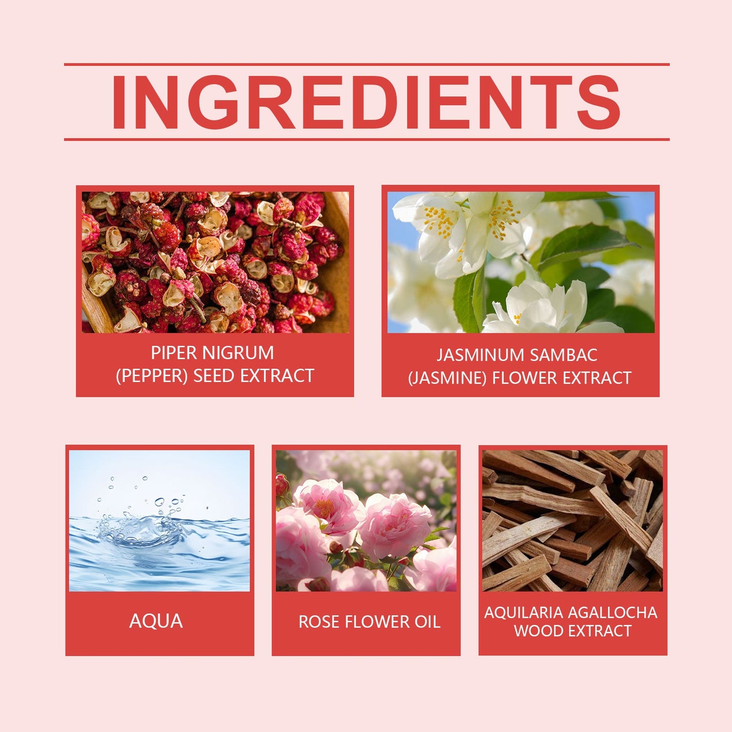 Spring Perfume Spicy Rose Fresh Natural Light Fragrance Portable Fragrance Exudes Personal Charm Perfume - Korvel