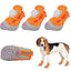 Botas para Perros PawShield - Protección para Patas en Todas las Temporadas
