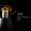 Tondeuse à poils de nez rechargeable pour hommes
