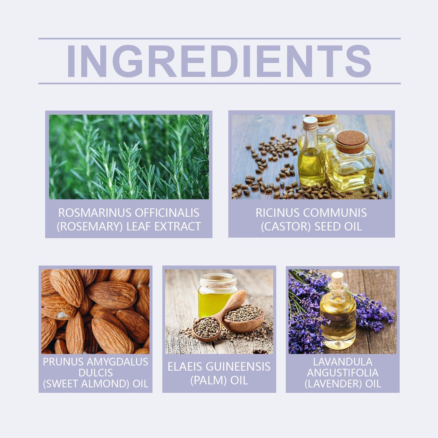 Nourishing Plant Extract Hair Care Essential Oil