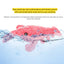 Pet Toy Gravity Jumping Shrimp Electric Simulation Lobster USB Charging Teasing Dog Cat Self Fun Soothing Tool - Korvel