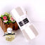 Premium Coral Fleece Bath Towel with Striped Edge