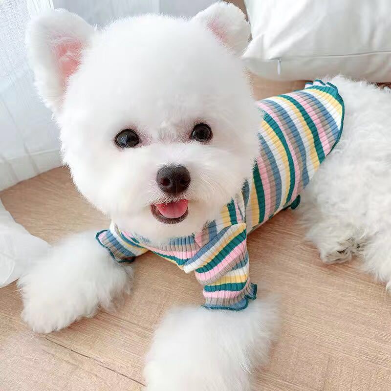 Rainbow Undercoat Dog Clothes Pet Clothes Cat Bears VIP Pomeranian Schnauzer Small Dog Clothes - Korvel