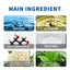 Roll Tight Hair Oil, Moisturizing Hair Care Strong, Strong And Solid Hair Repair Hairline Thick Hair Care - Korvel