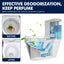 Solution de nettoyage de toilettes premium pour un enlèvement efficace des taches