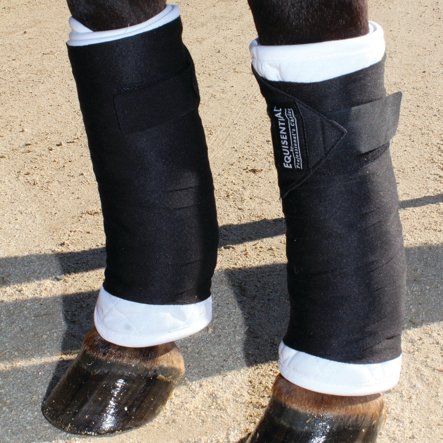 Premium Equisential Standing Bandage Set - Korvel
