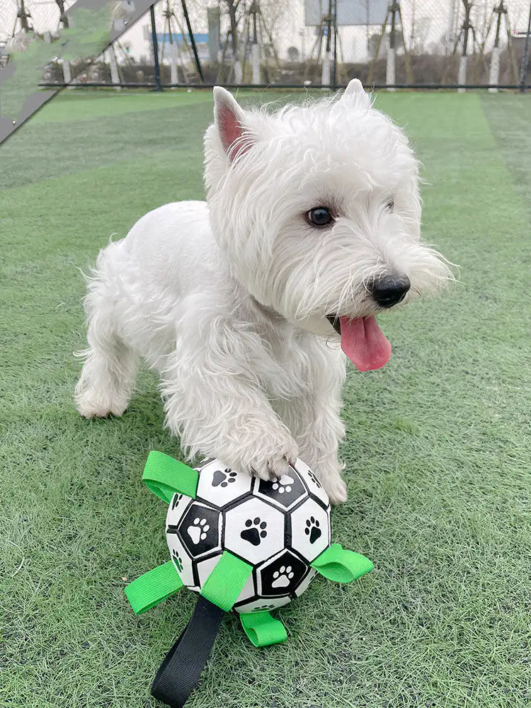 Jouets de football pour chiens durables pour un jeu actif