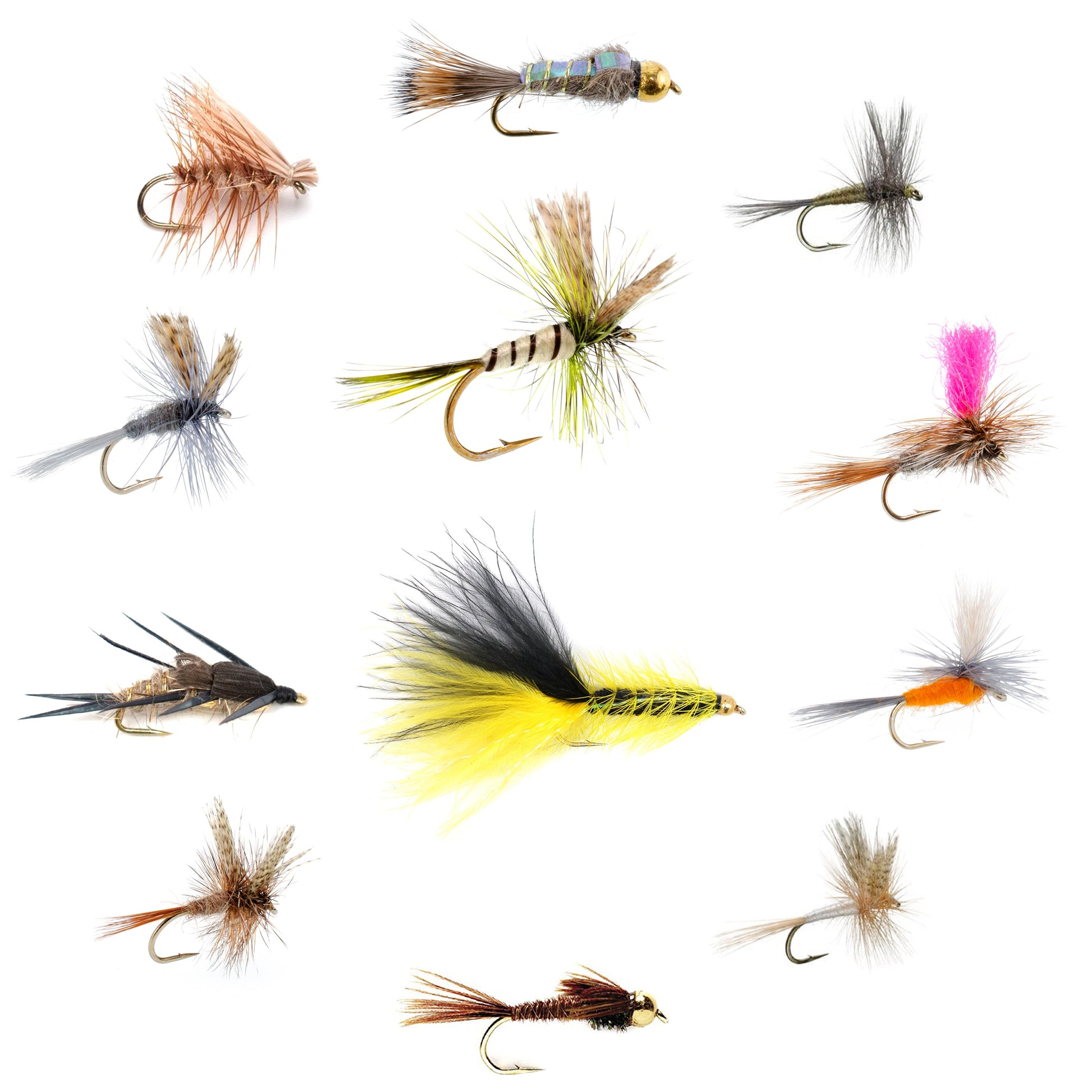 Essential Eastern Trout Fly Collection - 12 Premium Dry & Nymph Patterns with Gift Box - Korvel