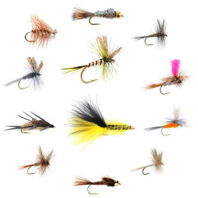 Essential Eastern Trout Fly Collection - 12 Premium Dry & Nymph Patterns with Gift Box - Korvel