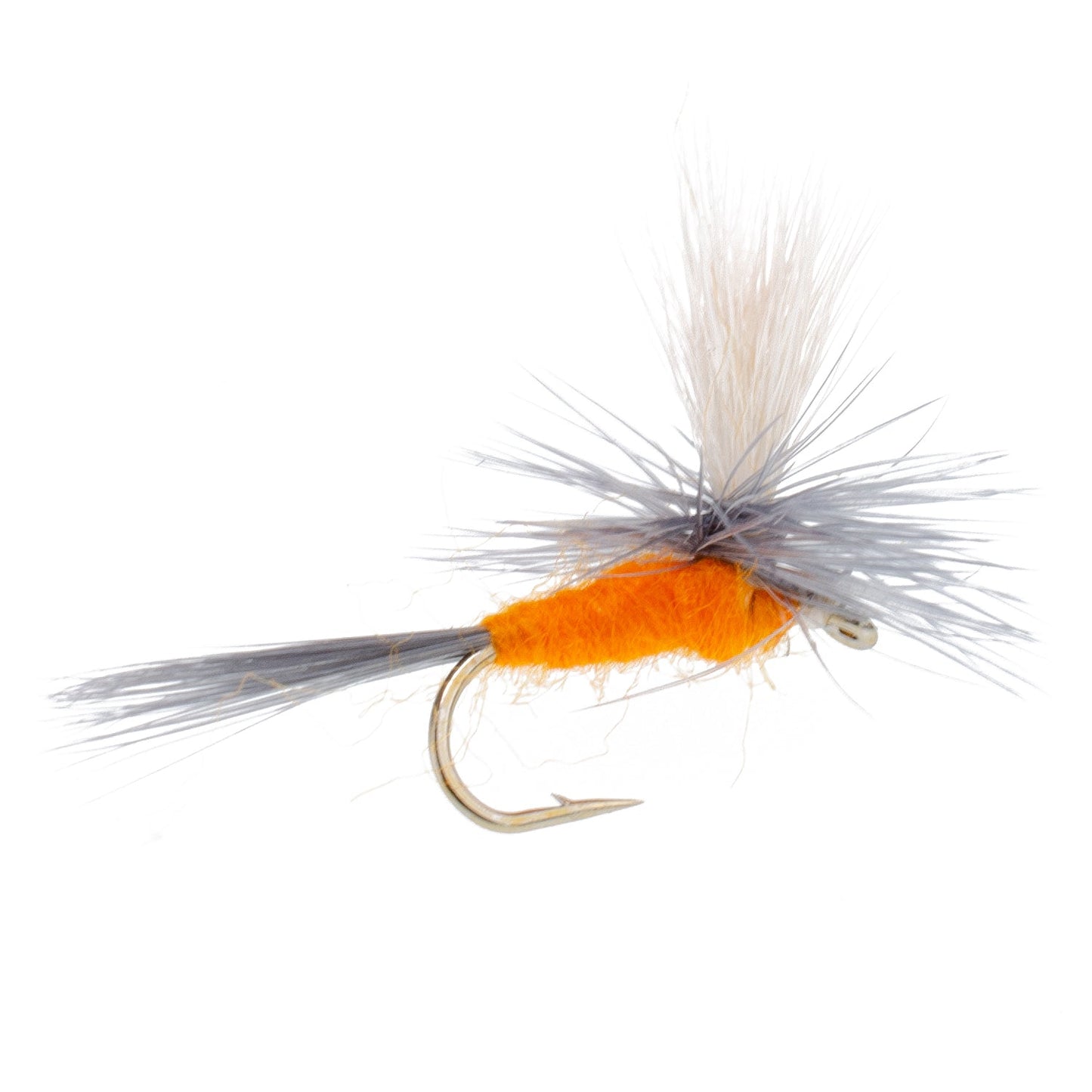 Essential Eastern Trout Fly Collection - 12 Premium Dry & Nymph Patterns with Gift Box - Korvel