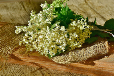 Organic Whole Elderflowers - Nature's Wellness Boost - Korvel