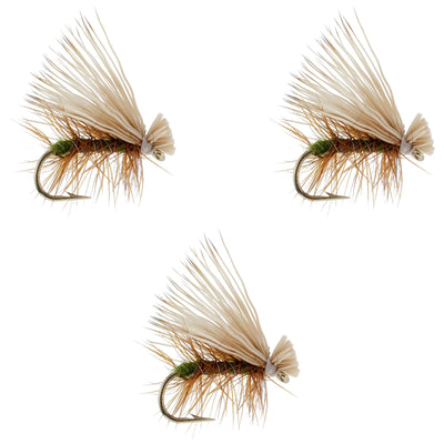 3 Pack Olive Elk Hair Caddis Classic Trout Dry Fly - Size 12