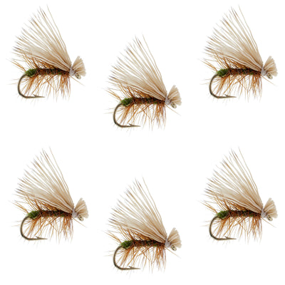Olive Elk Hair Caddis Classic Trout Dry Fly - Set of 6 Size 14