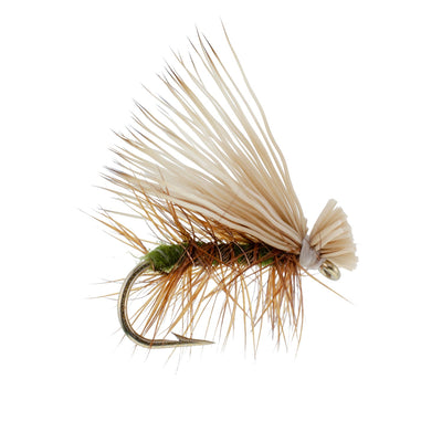 3 Pack Olive Elk Hair Caddis Classic Trout Dry Fly - Size 12