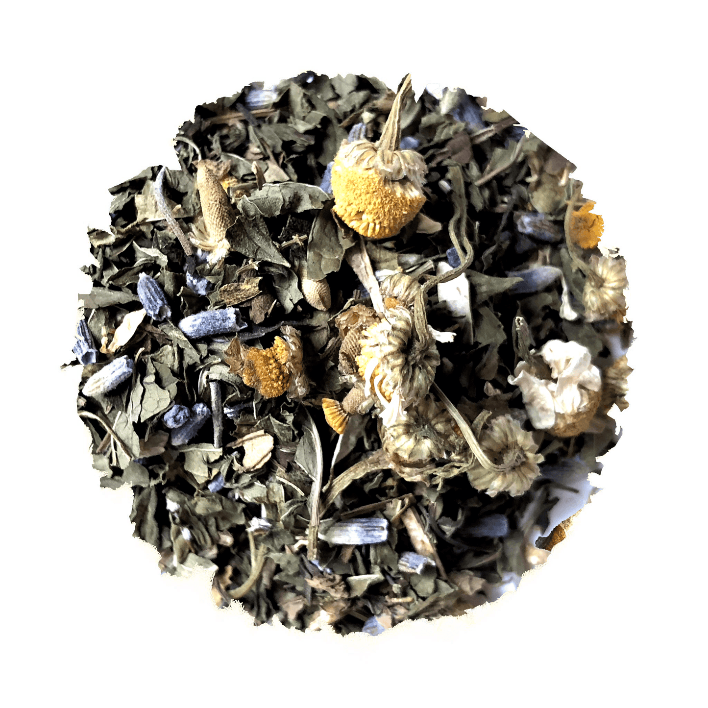 Embrace The Beach Life Iced Blend - Korvel