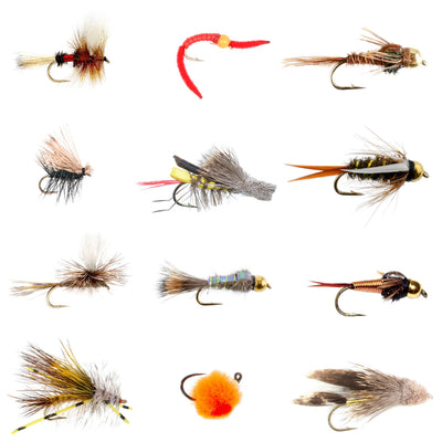 Ultimate Trout Fly Collection - 12 Premium Flies with Storage Box for Successful Fishing - Korvel