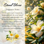 Eternal Blooms Crystal Candle - Premium Coconut-Soy Wax Tealight, 1oz - Korvel