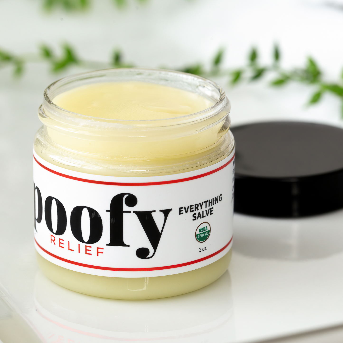Everything Salve Organic - Korvel