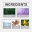 Eau De Toilette, Warm Wood Scent Charming Floral Fragrance Fresh Natural Fragrance Fragrance Lasting Fragrance - Korvel