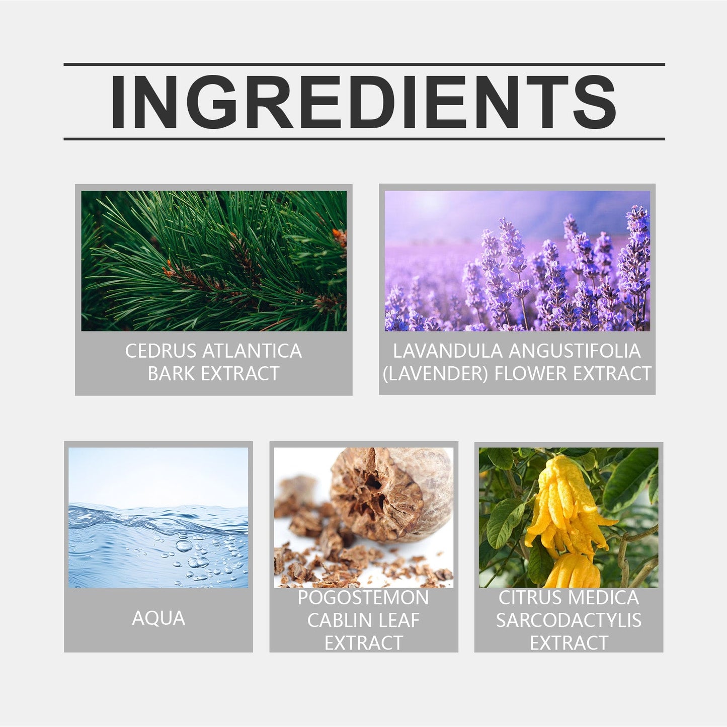 Eau De Toilette, Warm Wood Scent Charming Floral Fragrance Fresh Natural Fragrance Fragrance Lasting Fragrance - Korvel