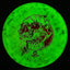 Doomsday Discs Famine - Premium Glow-in-the-Dark Distance Driver