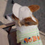 Pet Dog Outdoor Photography Leisure Sunshade Hat with Ear Holes Adjustable Corgi Baseball Cap - Korvel