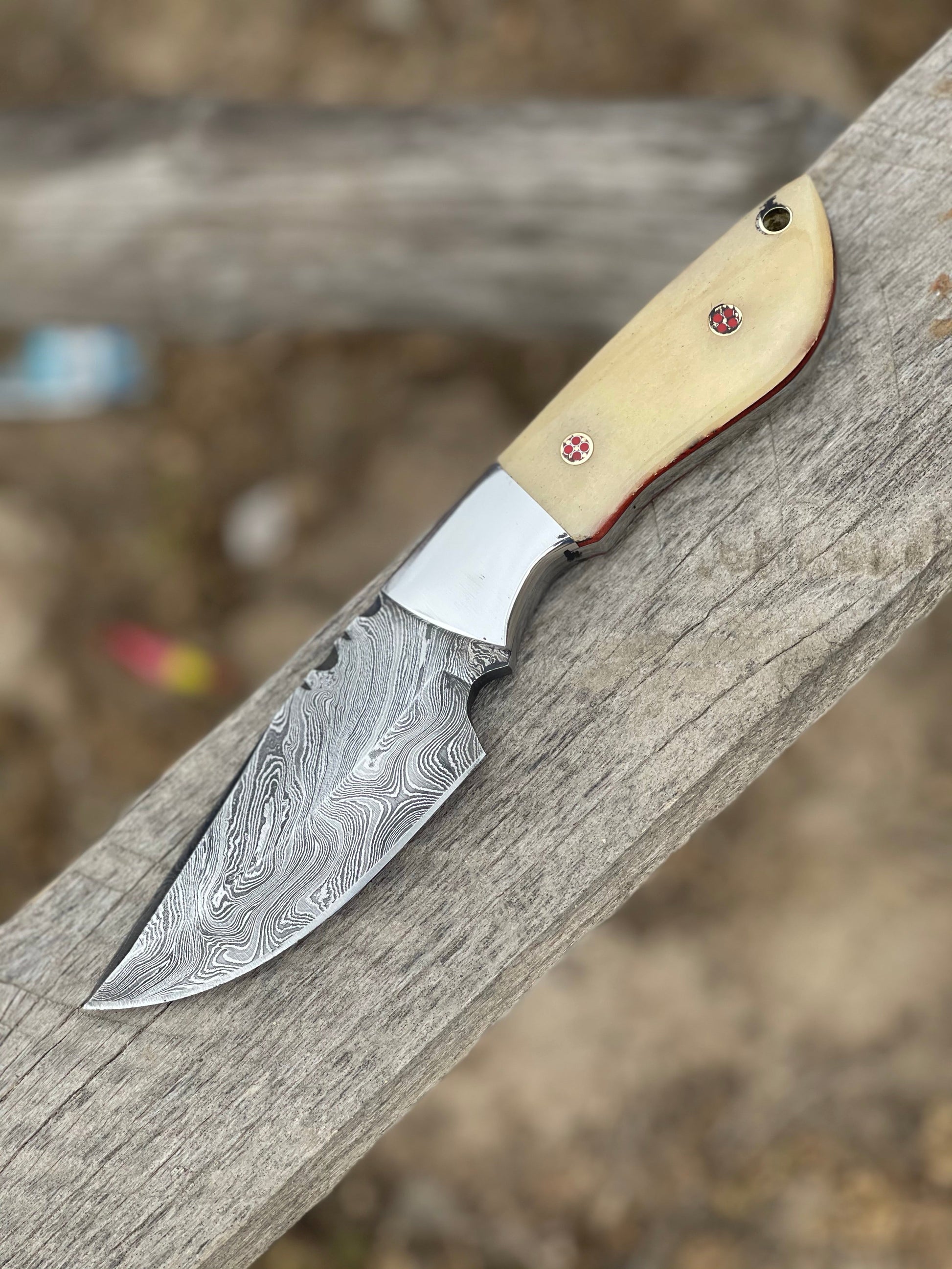 Premium 9" Damascus Steel Skinning Knife with Camel Bone Handle & Leather Sheath - Korvel