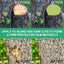 Seedling Tree Wound Sealer Callus Scars Cut Paste Bonsai Pruning Sealer Saw Cuts Coating Tree Wound Healing Paste Tree - Korvel