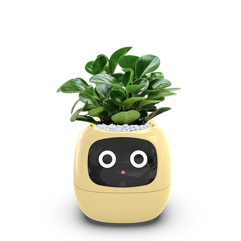 USB Auto Absorbent Planter Brand New PP Resin Plastic Round Eco-friendly Interactive - Korvel