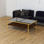 Rectangle Coffee Table with Gray Tempered Glass top and Golden Legs, Modern Table for Living Room - Korvel
