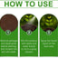 Spray Líquido Verde para Césped Premium para un Crecimiento Vibrante