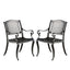 Ensemble de chaises Cayman Arch Mesh I (Set de 2)
