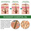 Multi-Effect Rosemary Essential Oil, Strengthens Hair Moisturizes And Thickens Hair And Skin Care Multi-effect Essential Oil - Korvel