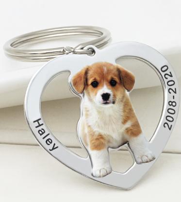 Family commemorative pet dog hang tag photo keychain couple photo titanium steel DIY necklace pendant customized - Korvel