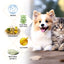 Pet Shampoo, Gentle Cleansing Of Pet Cat And Dog Hair With Smooth Unknotted Shampoo - Korvel