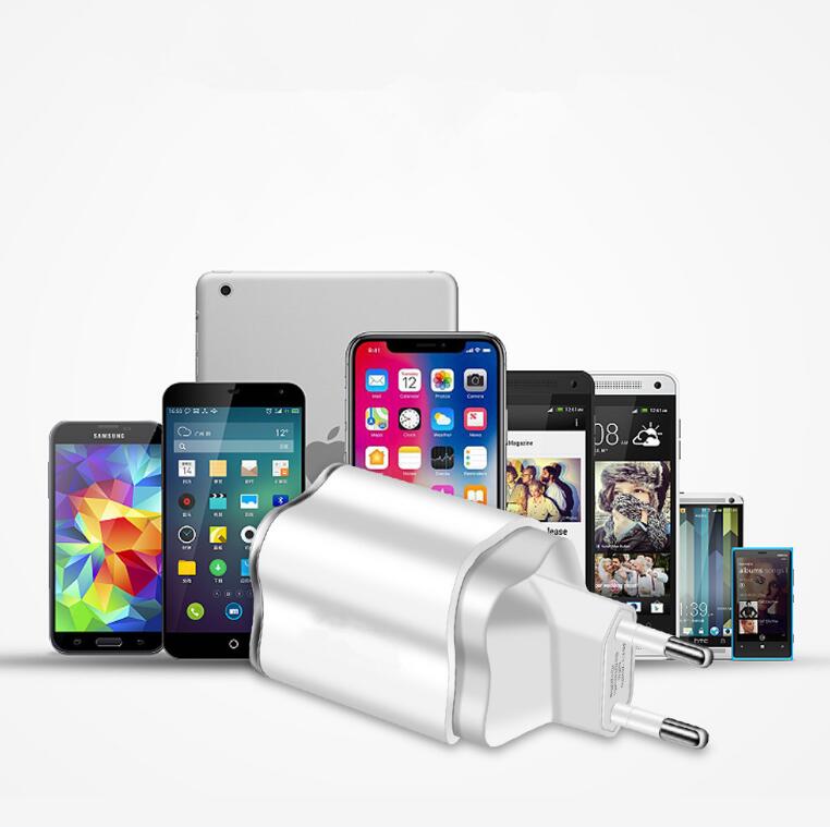 Cargador de pared USB de doble puerto premium - 5V 2.1A