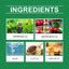 Premium Mint Rat Repellent Spray for Indoor & Outdoor Use